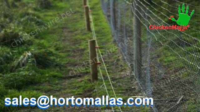 Outdoor chicken wire on forest application