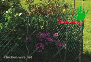 Garden with poultry netting installed