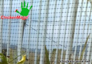 Chicken coop mesh