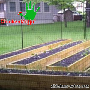 Chicken wire installed in backyard