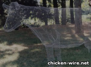 Chicken Wire Art