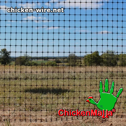 Chicken wire installed in a field 