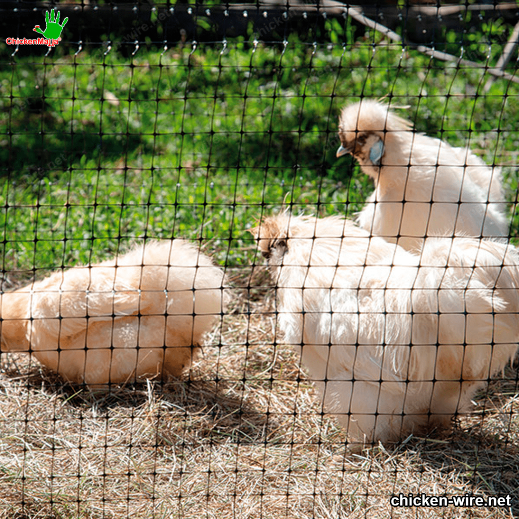 plastic mesh for chickens 