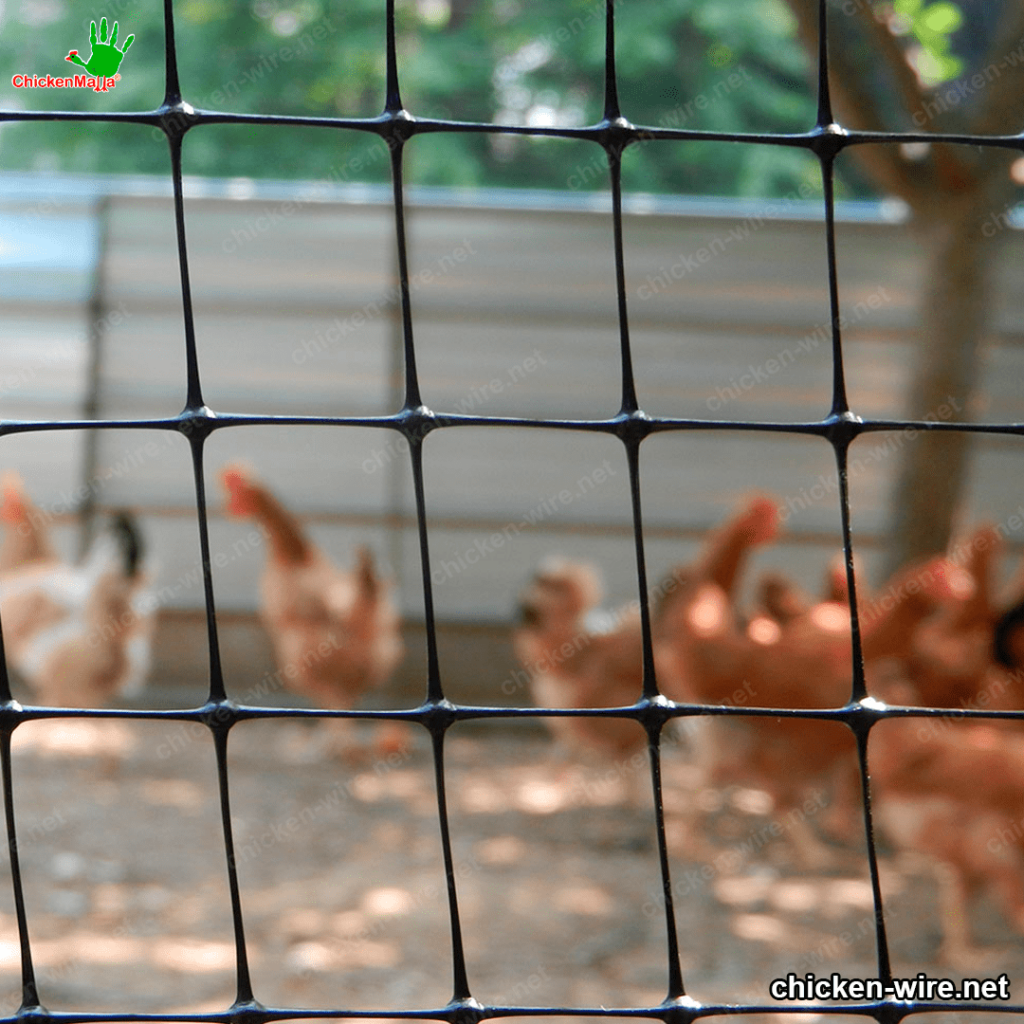 Chicken mesh for hen house 